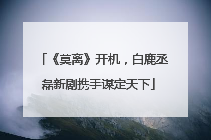 《莫离》开机，白鹿丞磊新剧携手谋定天下
