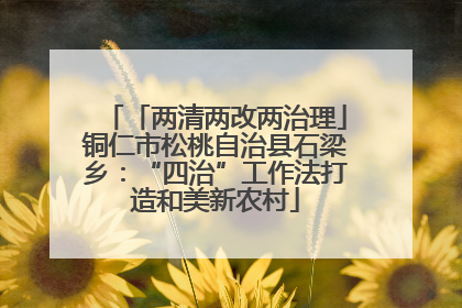 「两清两改两治理」铜仁市松桃自治县石梁乡：“四治”工作法打造和美新农村