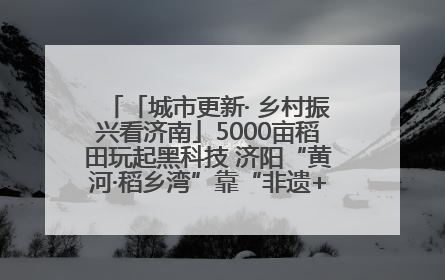 「城市更新· 乡村振兴看济南」5000亩稻田玩起黑科技 济阳“黄河·稻乡湾”靠“非遗+露营”火出圈