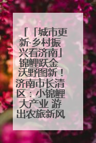 「城市更新·乡村振兴看济南」锦鲤跃金 沃野图新！济南市长清区：小锦鲤大产业 游出农旅新风景