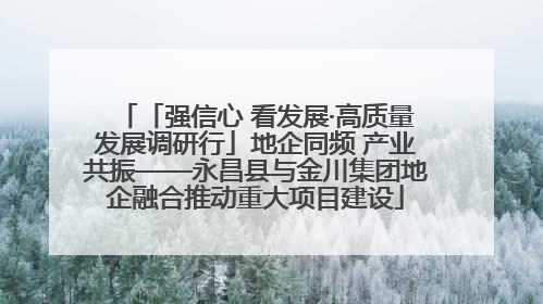 「强信心 看发展·高质量发展调研行」地企同频 产业共振——永昌县与金川集团地企融合推动重大项目建设