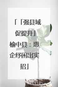 「强县域 促提升」榆中县：惠企纾困出实招