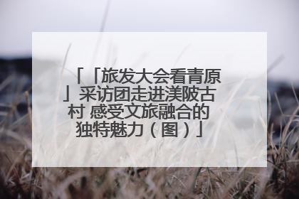 「旅发大会看青原」采访团走进渼陂古村 感受文旅融合的独特魅力（图）