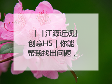 「江源近观」创意H5｜你能帮我找出问题，赢取勋章吗？