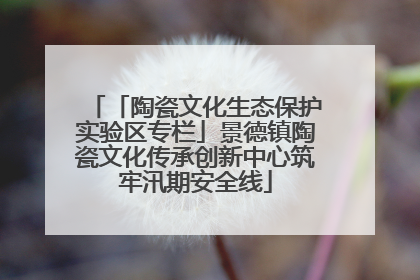 「陶瓷文化生态保护实验区专栏」景德镇陶瓷文化传承创新中心筑牢汛期安全线