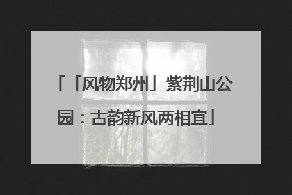 「风物郑州」紫荆山公园：古韵新风两相宜