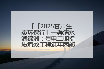 「2025甘肃生态环保行」一渠清水润绿洲：景电二期提质增效工程筑牢西部生态安全屏障