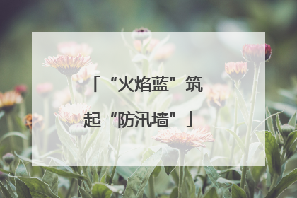“火焰蓝”筑起“防汛墙”