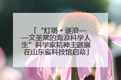 “灯塔 • 逐浪——文圣常的海浪科学人生”科学家精神主题展在山东省科技馆启幕