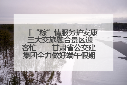 “粽”情服务护安康 三大交旅融合景区迎客忙——甘肃省公交建集团全力做好端午假期景区运营工作