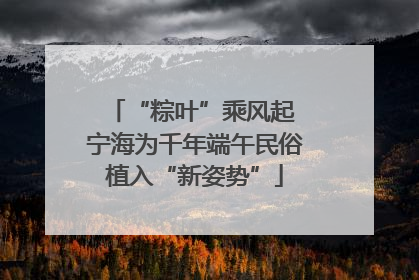 “粽叶”乘风起 宁海为千年端午民俗植入“新姿势”