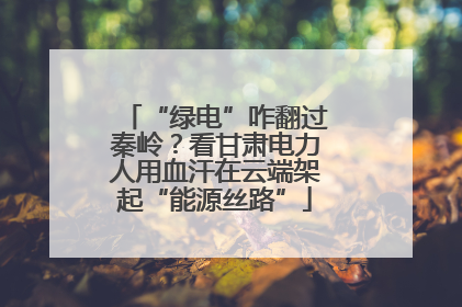 “绿电”咋翻过秦岭？看甘肃电力人用血汗在云端架起“能源丝路”