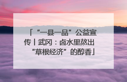 “一县一品”公益宣传丨武冈：卤水里熬出“草根经济”的醇香
