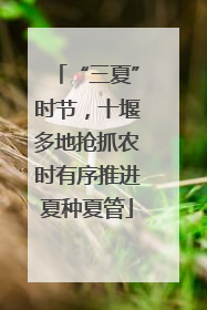 “三夏”时节，十堰多地抢抓农时有序推进夏种夏管