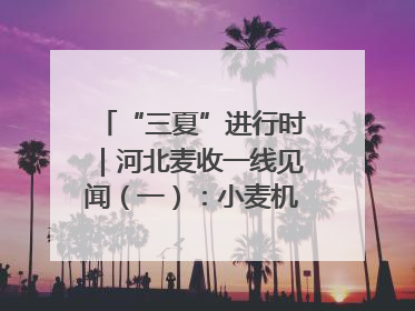 “三夏”进行时|河北麦收一线见闻(一):小麦机收减损“竞技” 农机高手麦田“过招”