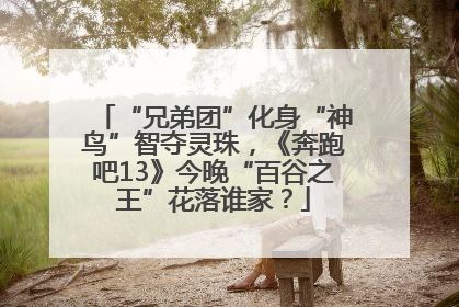 “兄弟团”化身“神鸟”智夺灵珠，《奔跑吧13》今晚“百谷之王”花落谁家？