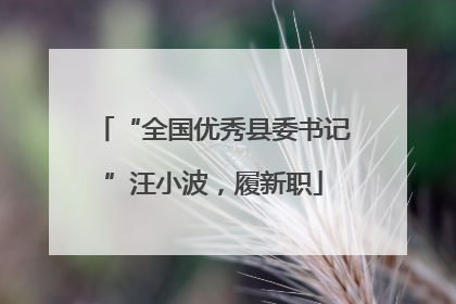 “全国优秀县委书记”汪小波，履新职