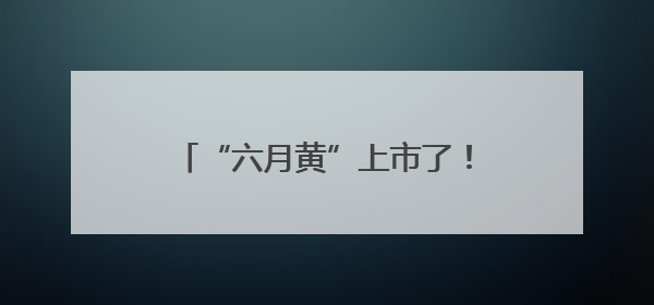 “六月黄”上市了！超小只的可按斤买