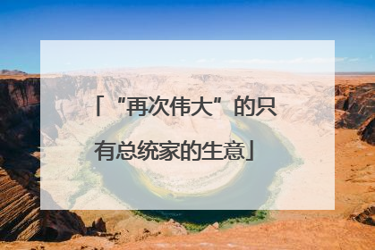 “再次伟大”的只有总统家的生意
