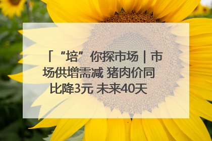 “培”你探市场｜市场供增需减 猪肉价同比降3元 未来40天便宜猪肉敞开吃