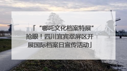 “哪吒文化档案特展”抢眼！四川宜宾翠屏区开展国际档案日宣传活动