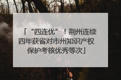 “四连优”！荆州连续四年获省对市州知识产权保护考核优秀等次