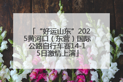 “好运山东”2025黄河口（东营）国际公路自行车赛14-15日激情上演