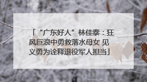 “广东好人”林佳泰：狂风巨浪中勇救落水母女 见义勇为诠释退役军人担当