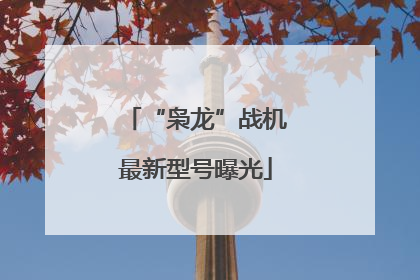 “枭龙”战机最新型号曝光