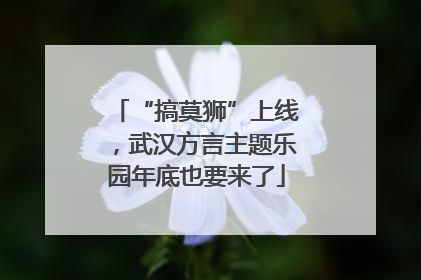 “搞莫狮”上线，武汉方言主题乐园年底也要来了