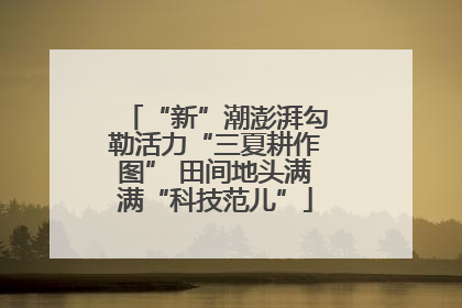“新”潮澎湃勾勒活力“三夏耕作图” 田间地头满满“科技范儿”