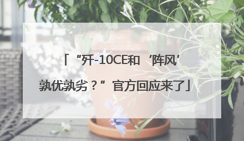 “歼-10CE和‘阵风’孰优孰劣？”官方回应来了