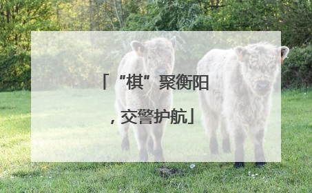 “棋”聚衡阳，交警护航