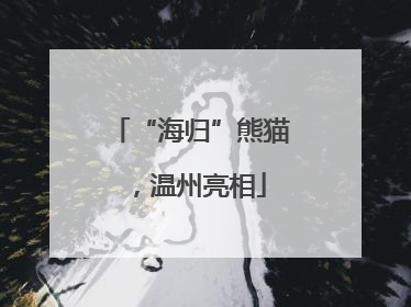 “海归”熊猫，温州亮相