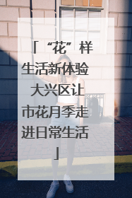 “花”样生活新体验 大兴区让市花月季走进日常生活