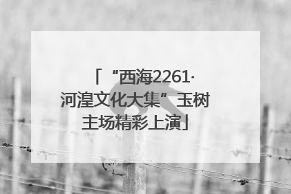 “西海2261·河湟文化大集”玉树主场精彩上演