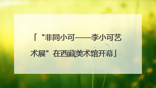 “非同小可——李小可艺术展”在西藏美术馆开幕