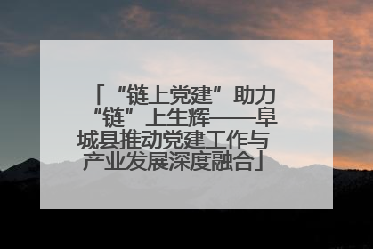 “链上党建”助力“链”上生辉——阜城县推动党建工作与产业发展深度融合