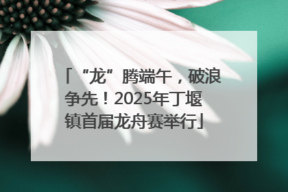 “龙”腾端午，破浪争先！2025年丁堰镇首届龙舟赛举行