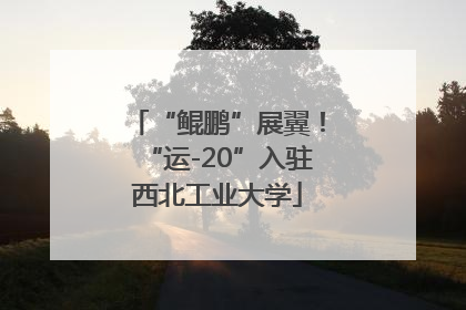 “鲲鹏”展翼！“运-20”入驻西北工业大学