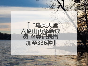 “鸟类天堂”六盘山再添新成员 鸟类记录增加至336种