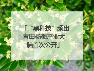 “黑科技”频出 青田杨梅产业大脑首次公开