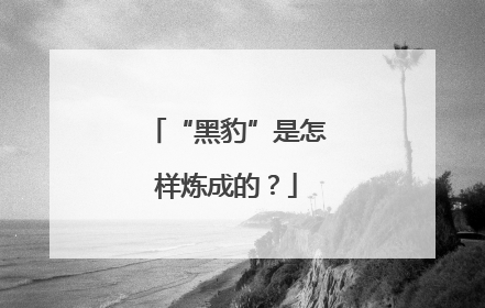“黑豹”是怎样炼成的？