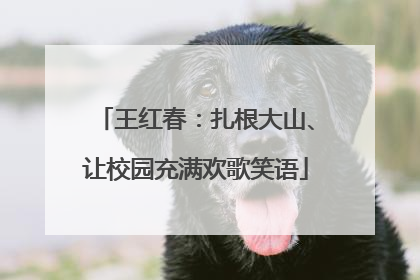 王红春：扎根大山、让校园充满欢歌笑语