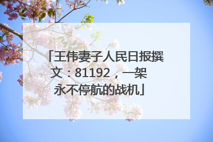 王伟妻子人民日报撰文：81192，一架永不停航的战机