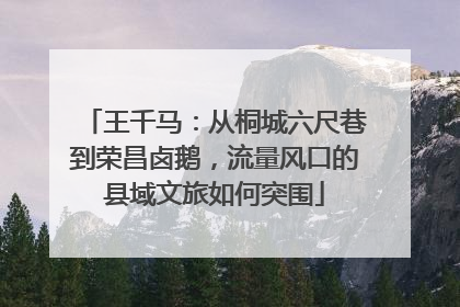 王千马：从桐城六尺巷到荣昌卤鹅，流量风口的县域文旅如何突围