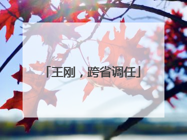 王刚，跨省调任