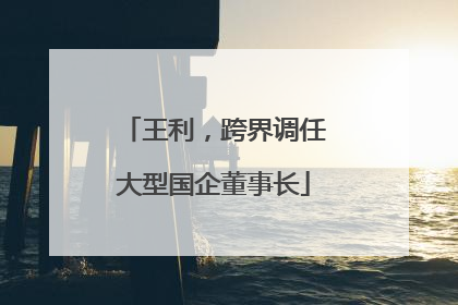王利，跨界调任大型国企董事长