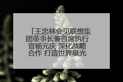 王忠林会见联想集团董事长兼首席执行官杨元庆 深化战略合作 打造世界级光电子信息产业集群