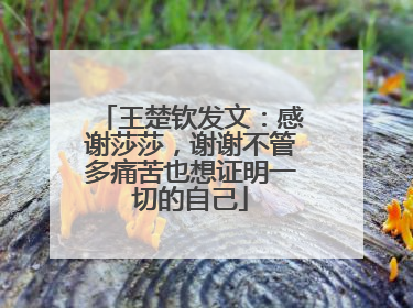 王楚钦发文：感谢莎莎，谢谢不管多痛苦也想证明一切的自己